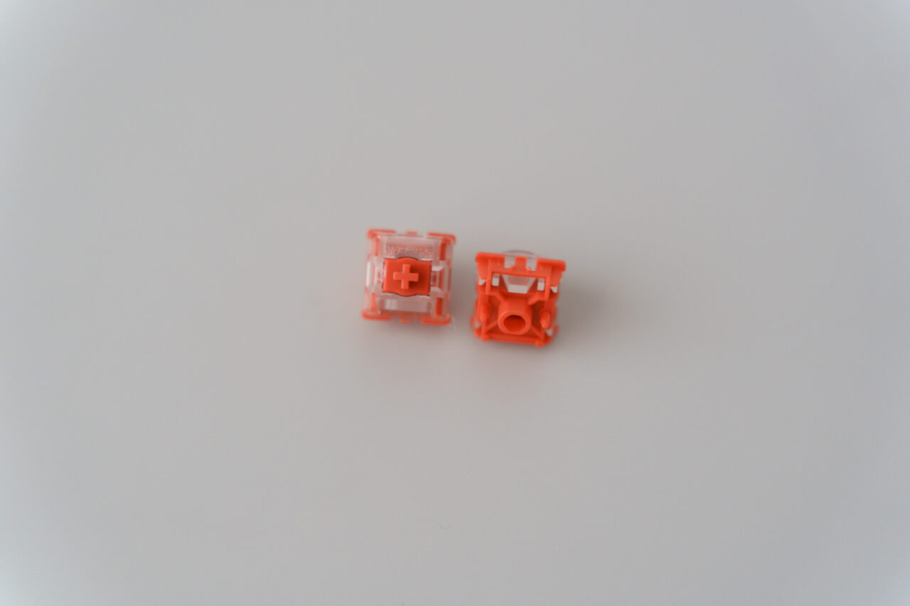 DSC03456-2.jpg