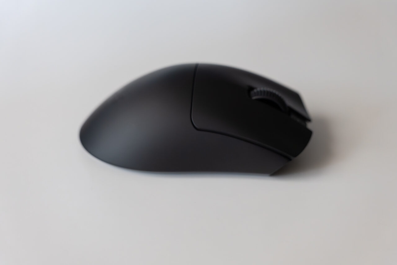 P1012029-scaled.jpg