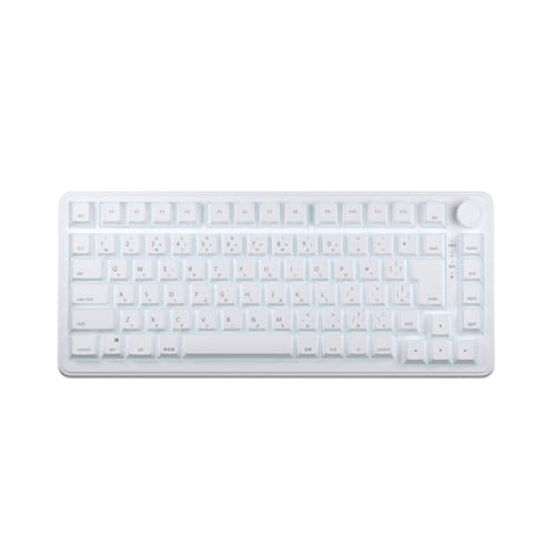 AIM1 75 MATATAKI White